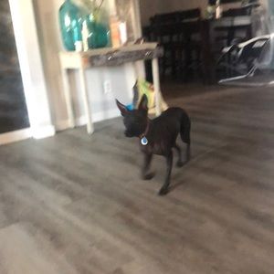 Meet your Posher, Arturo